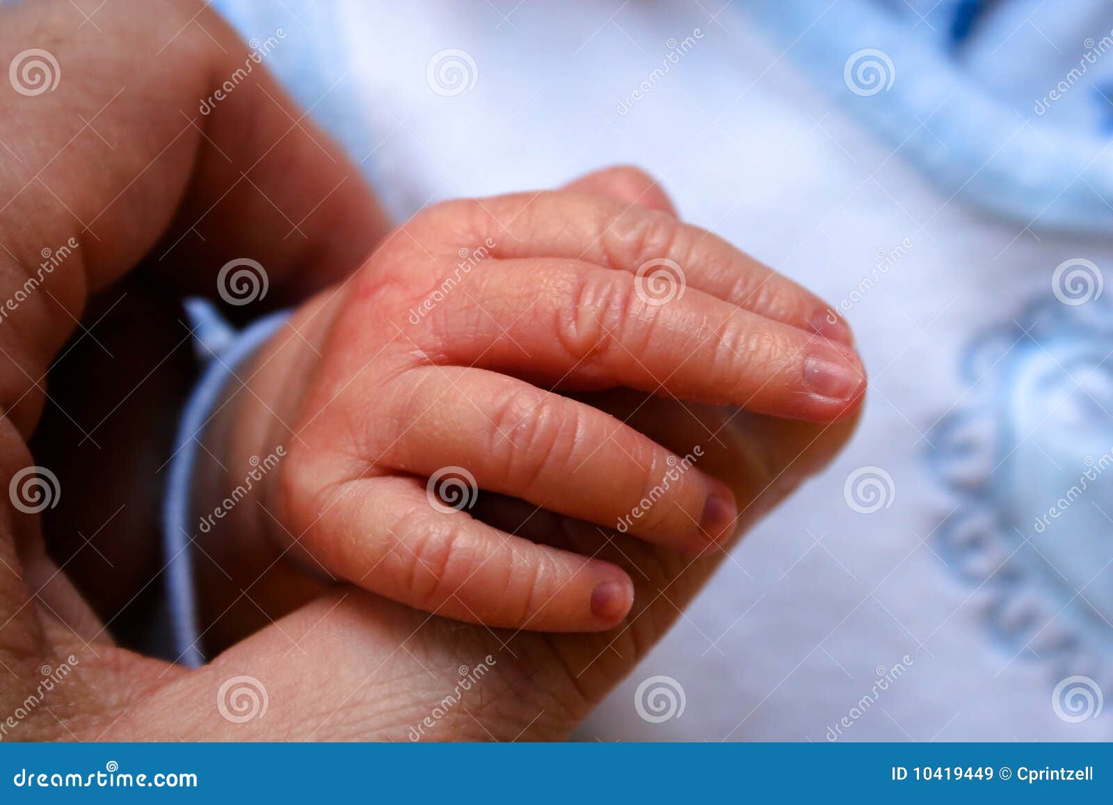 Hand of newborn baby boy stock image. Image of help, blue 10419449