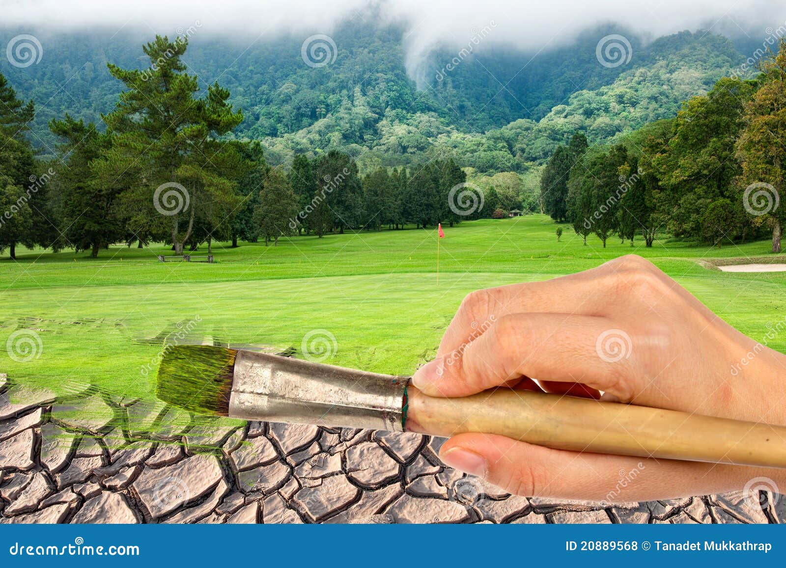 Hand Paint Brush To Golf Course Stock Photo Image of hole, brown