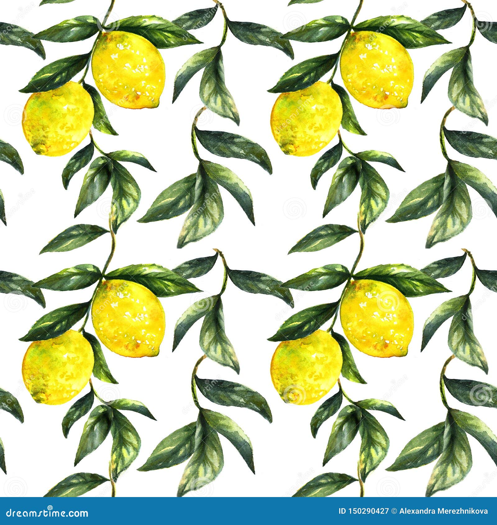 Hand Painted Lemon Fruit on Branch with Leaves Isolated Stock Image ...