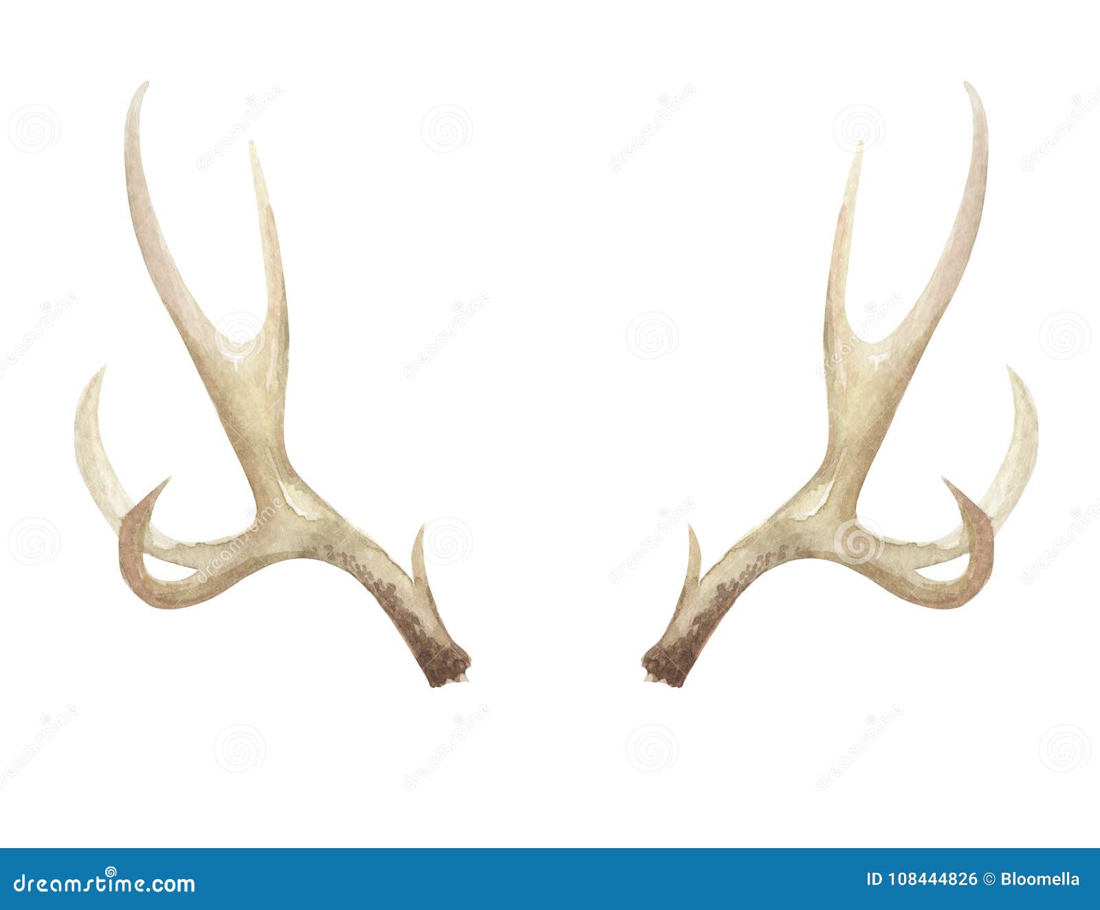 are antlers bone
