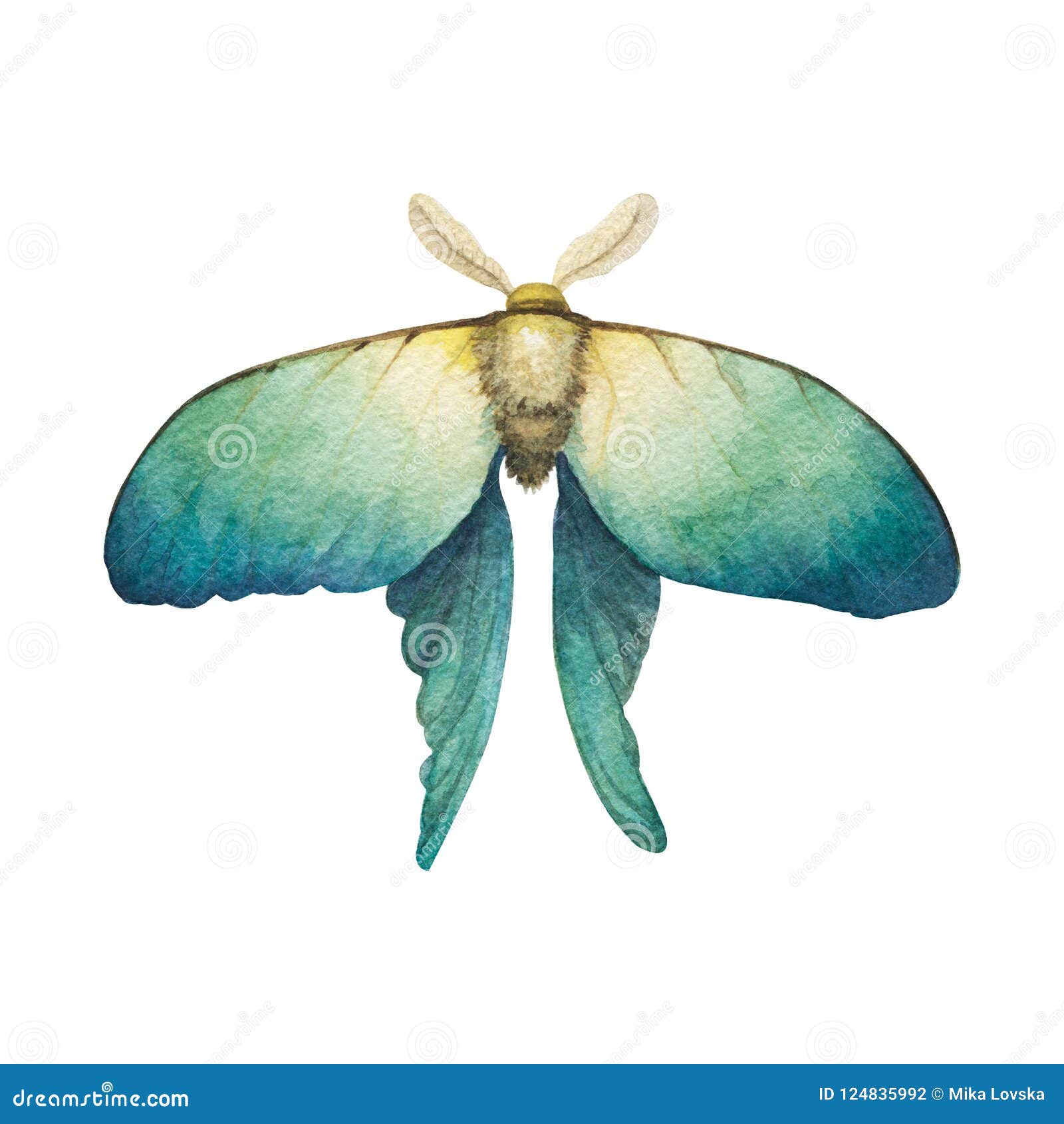 Xi Zhang  My Silkworm Moth