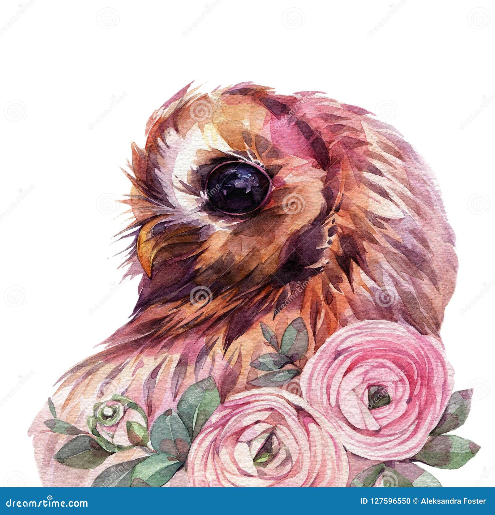 Download Cute watercolor owl. stock illustration. Illustration of illustration - 127596550