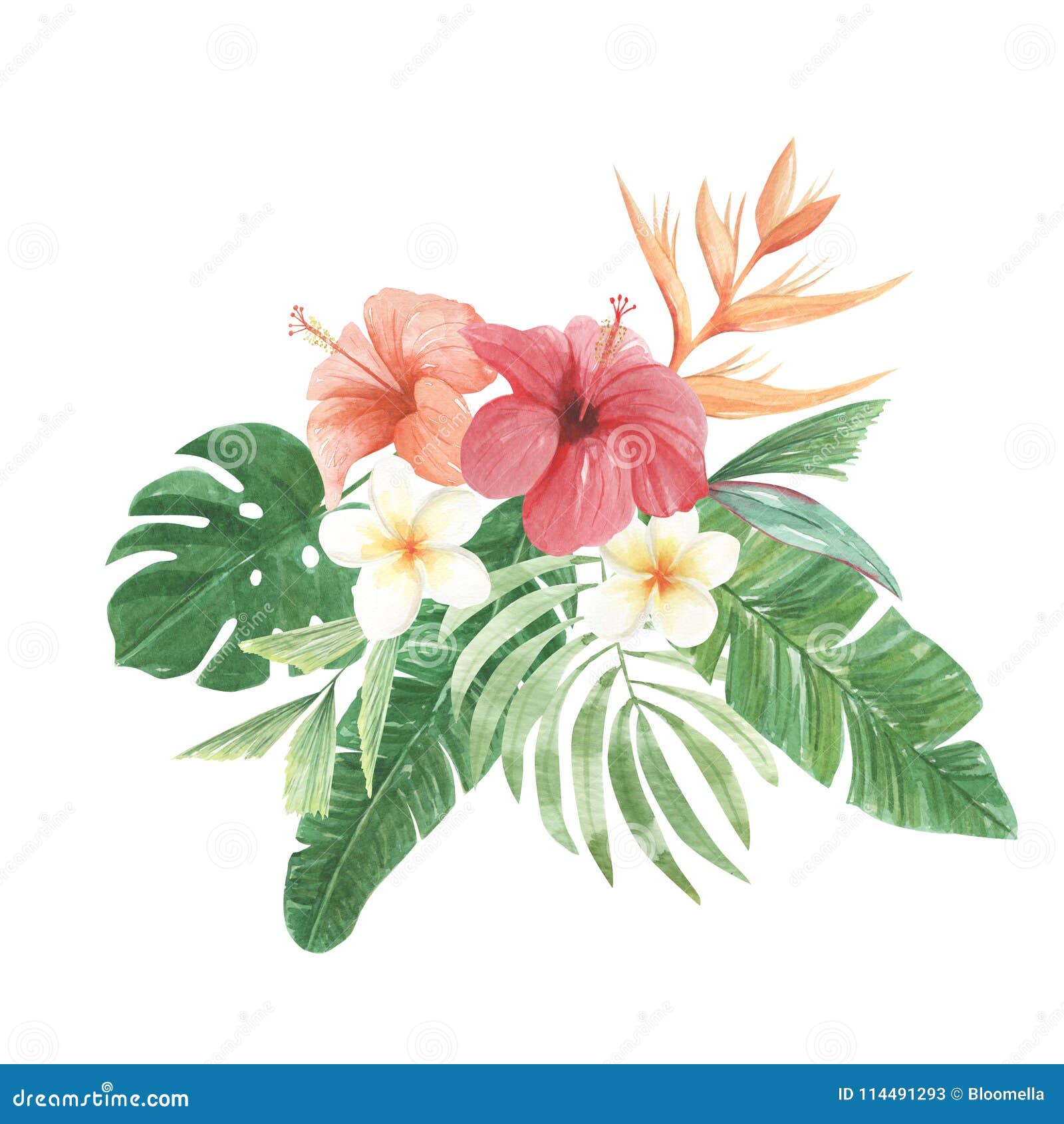 Watercolor Bouquets Floral Aloha Flowers Leaves Luau Arrangements Stock  Illustration - Illustration of leaf, colors: 114491293