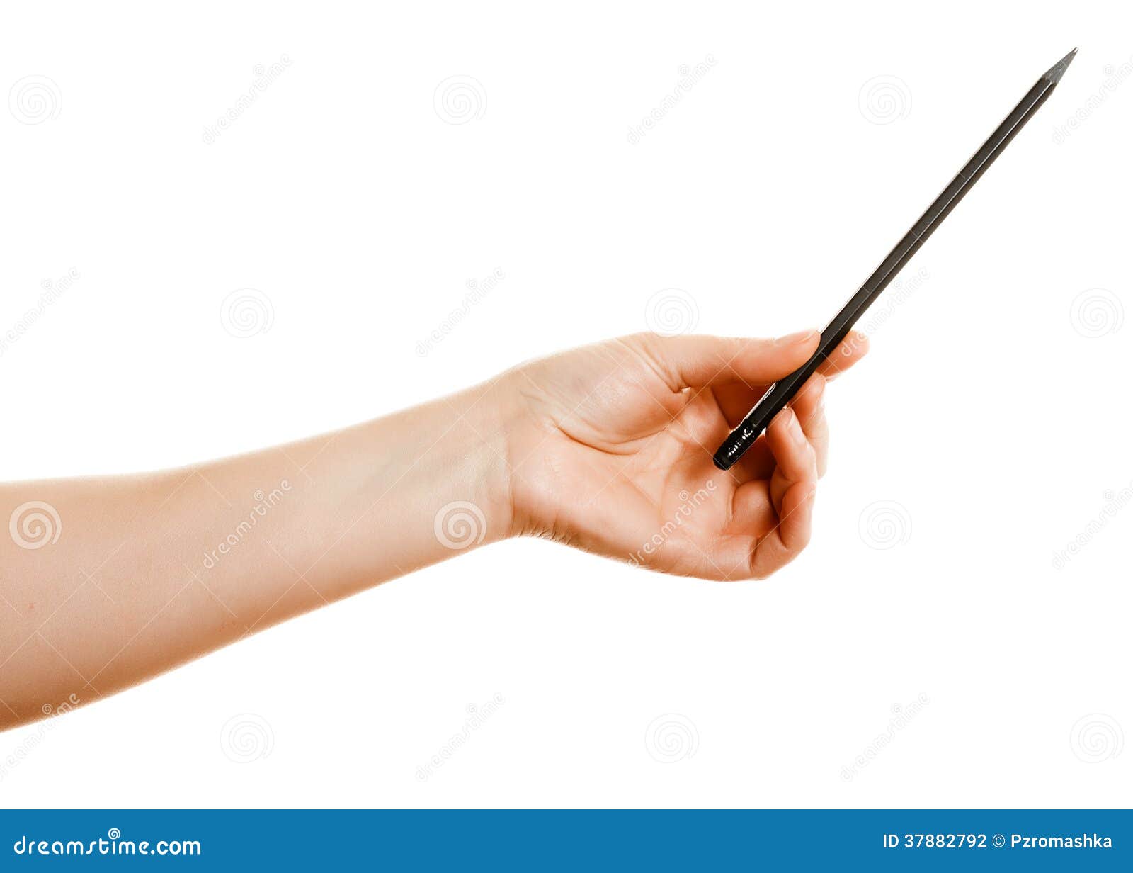 Hand with a Pencil on a White Background Stock Photo - Image of pencil