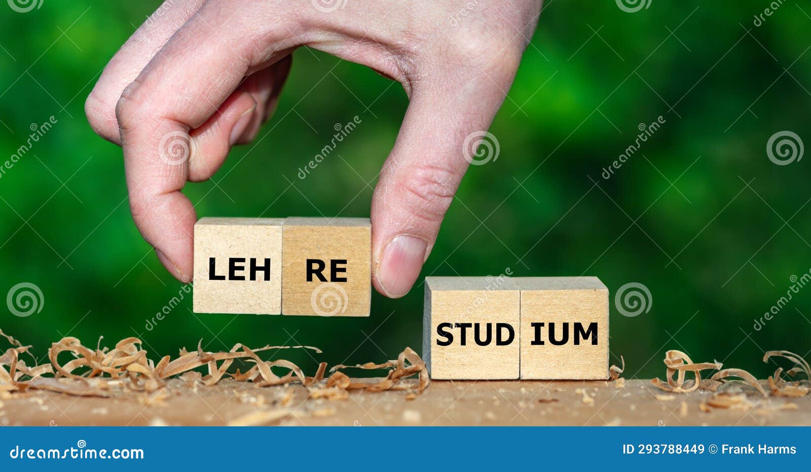 hand picks cube with the german word 'lehre' (internship) instead of 'studium' (study
