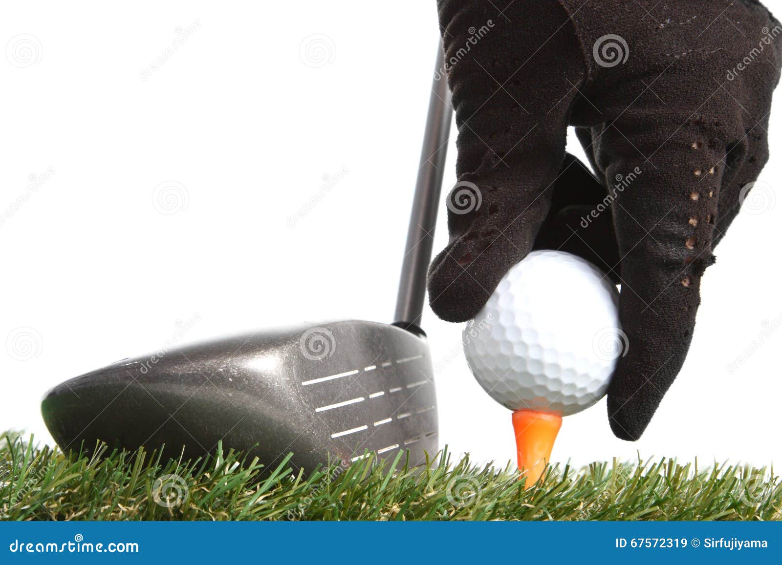 Hand Placing Golf Ball To a Tee Stock Image Image of recreation