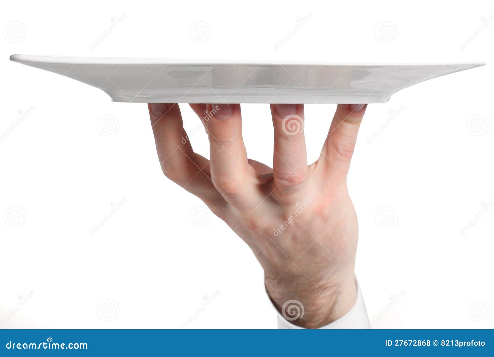 Hand with plate stock photo. Image of garnish, eating 27672868