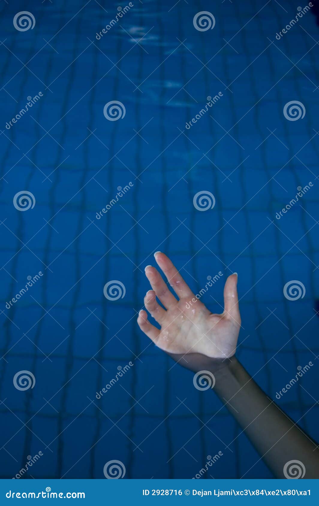 Hand in pool stock photo. Image of finger, agitation, alarm 2928716