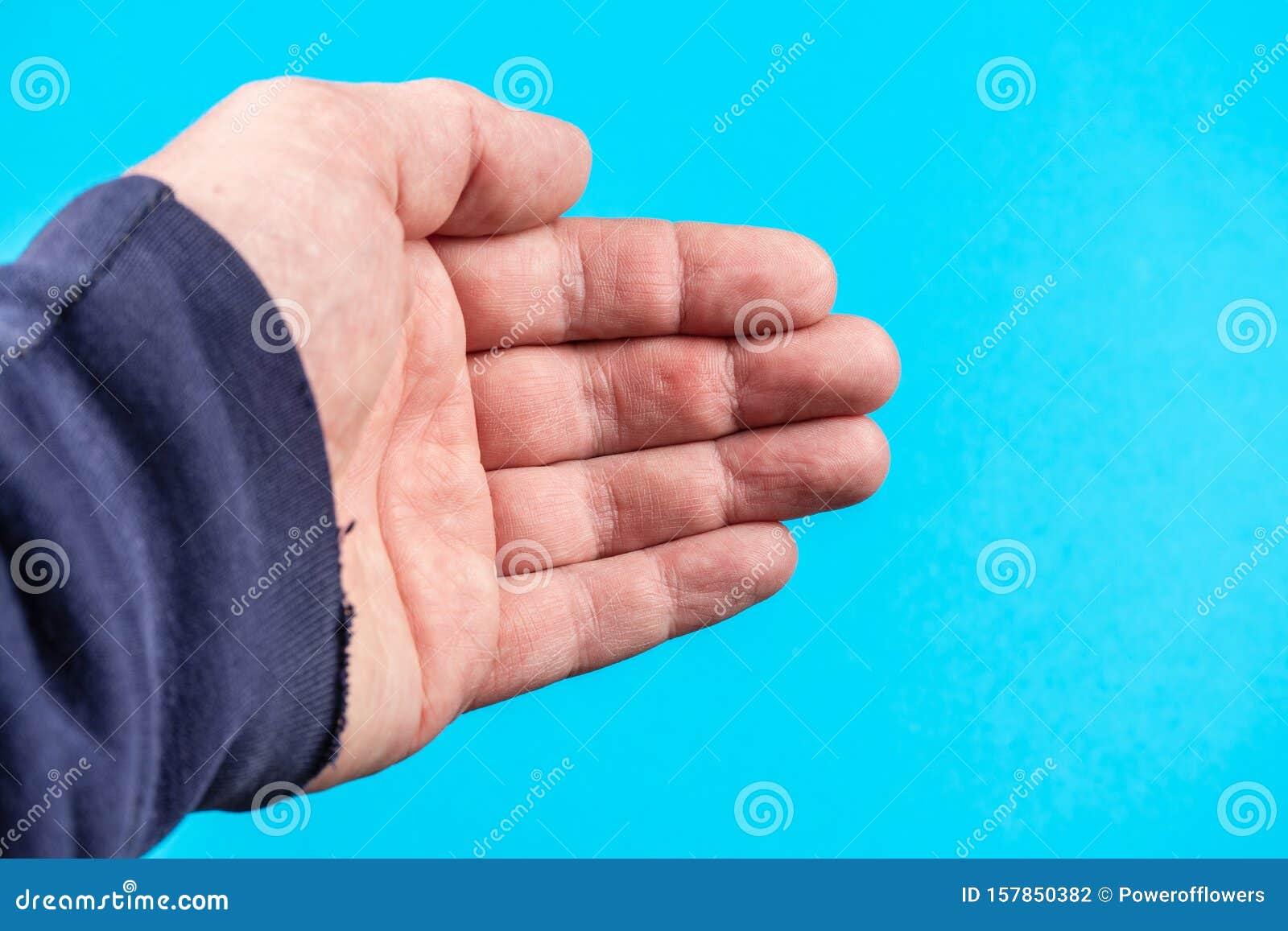 a hand is a prehensile, multi fingered appendage located at the end of the forearm or forelimb of primates such as humans,