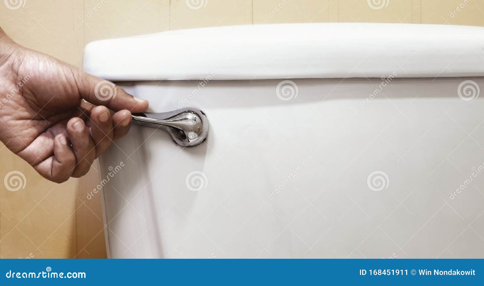 Hand flush toilet stock image. Image of press, sanitary 168451911