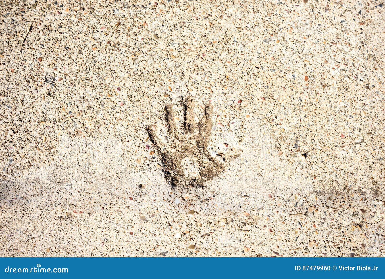 Hand Print in Concrete stock photo. Image of picking - 87479960