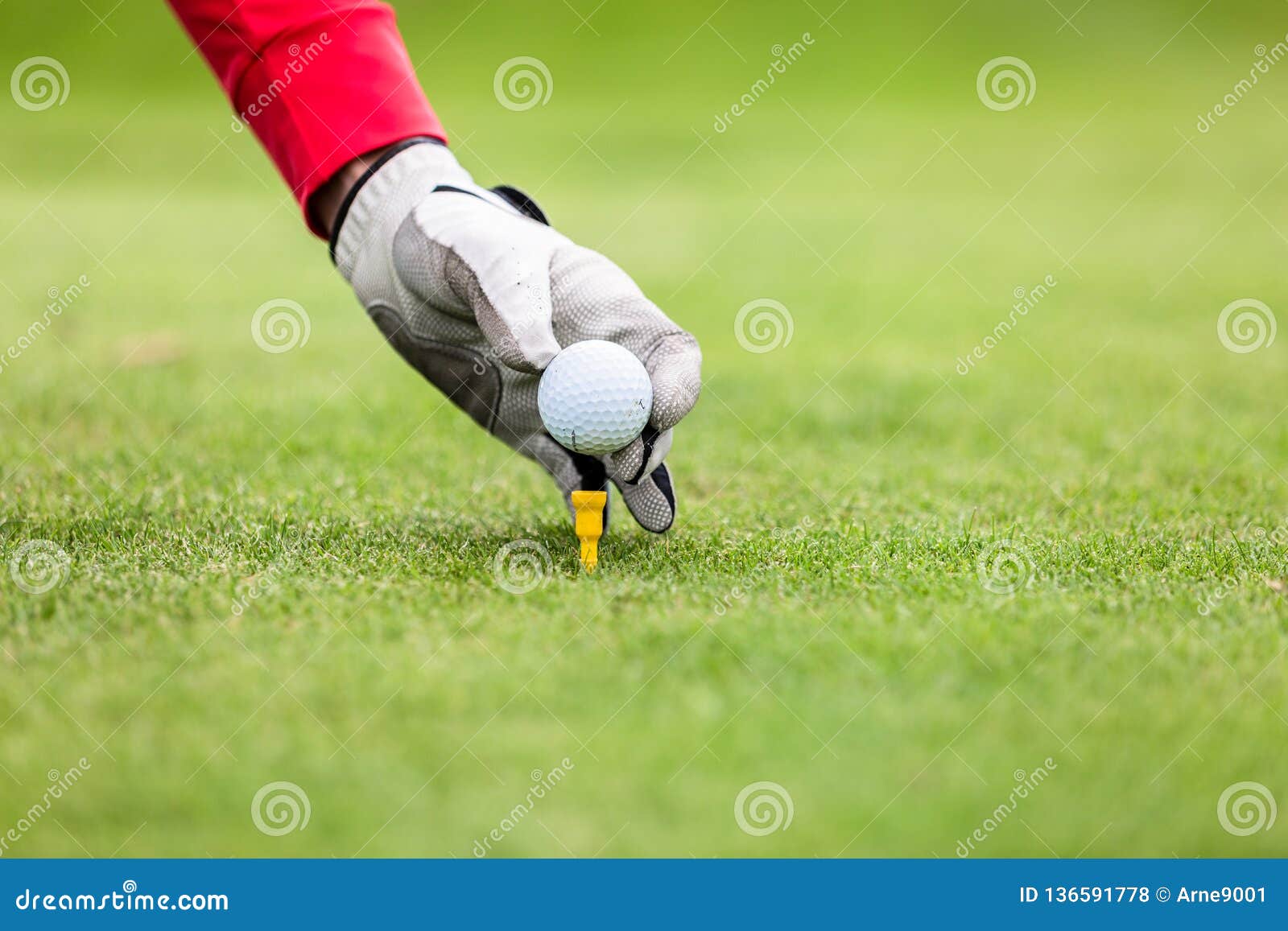 Hand Putting Golf Ball on Tee Stock Photo Image of game, placing
