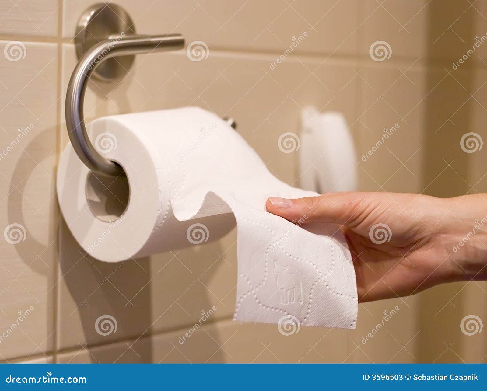 Hand Reaches for Toilet Paper Stock Image Image of tile, wall 3596503