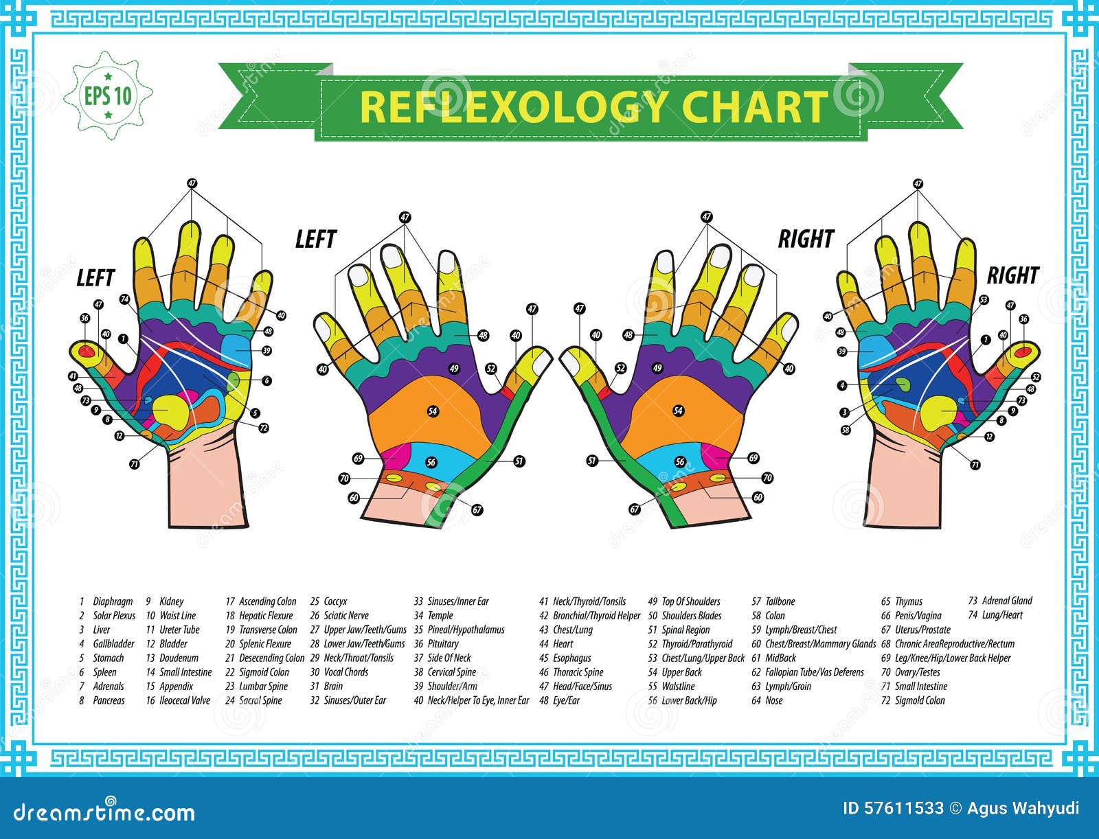 Hand Reflexology Chart Left Hand