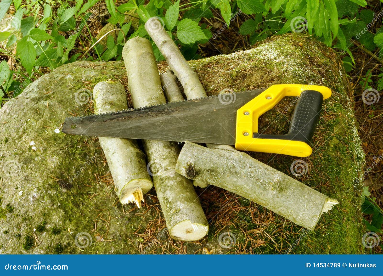 Handsaw and firewood stock image. Image of firewood 14534789