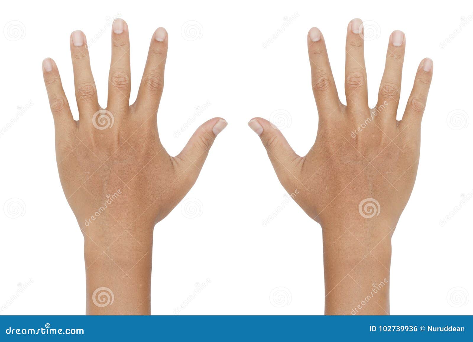 hand showing the ten fingers on white background