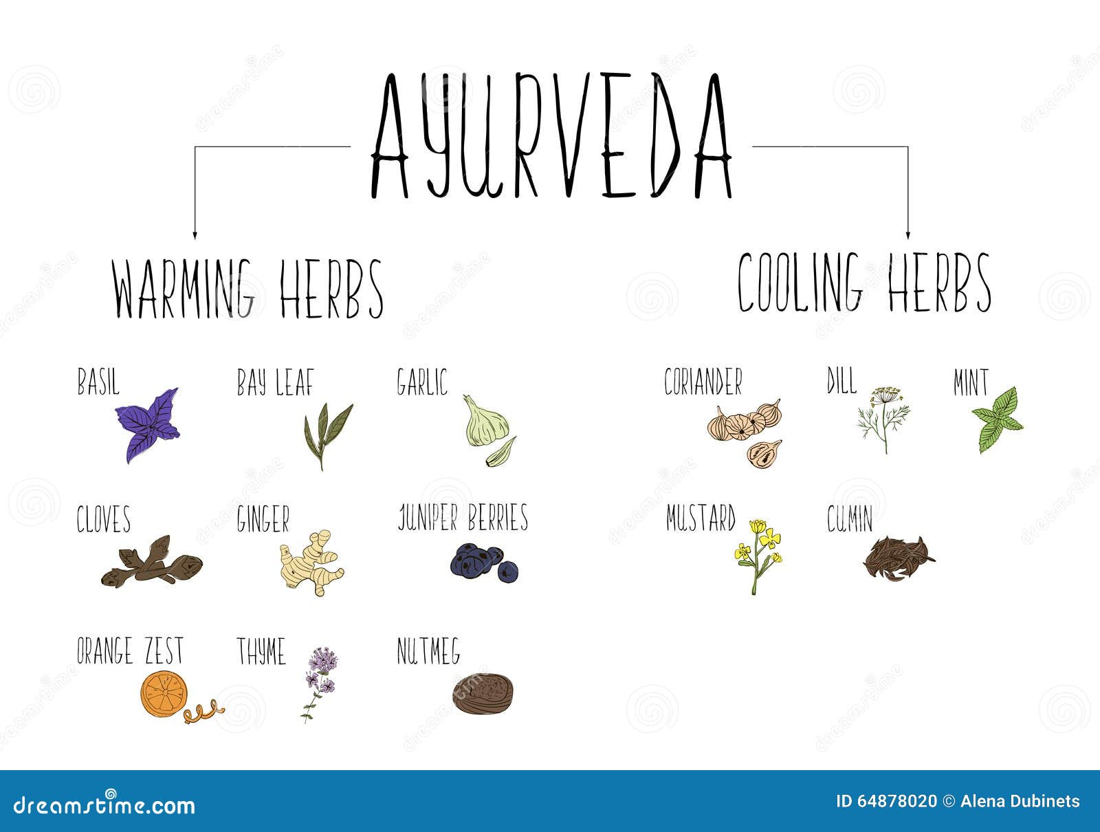 Handsketched Collection of Elements of Ayurvedic Spices in Our Kitchen