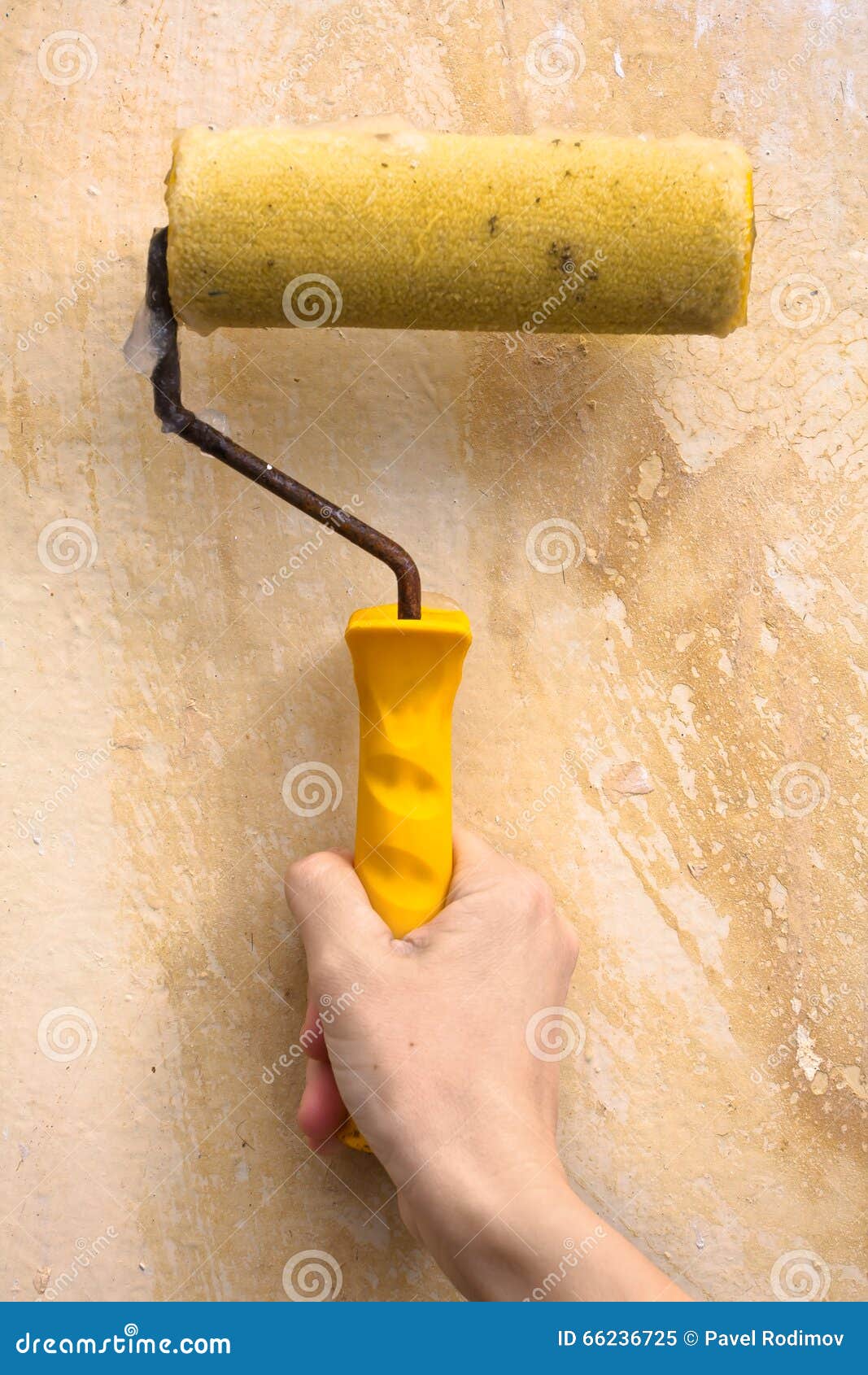 Modernisering binnen Verdikken Hand Smerende Muur Met Lijm Voor Behang Tijdens Reparatie Stock Afbeelding - Image of fotografie, wijfje: 66236725 Modernisering binnen Verdikken Hand Smerende Muur Met Lijm Voor Behang Tijdens Reparatie Stock Afbeelding - Image of fotografie, wijfje: 66236725