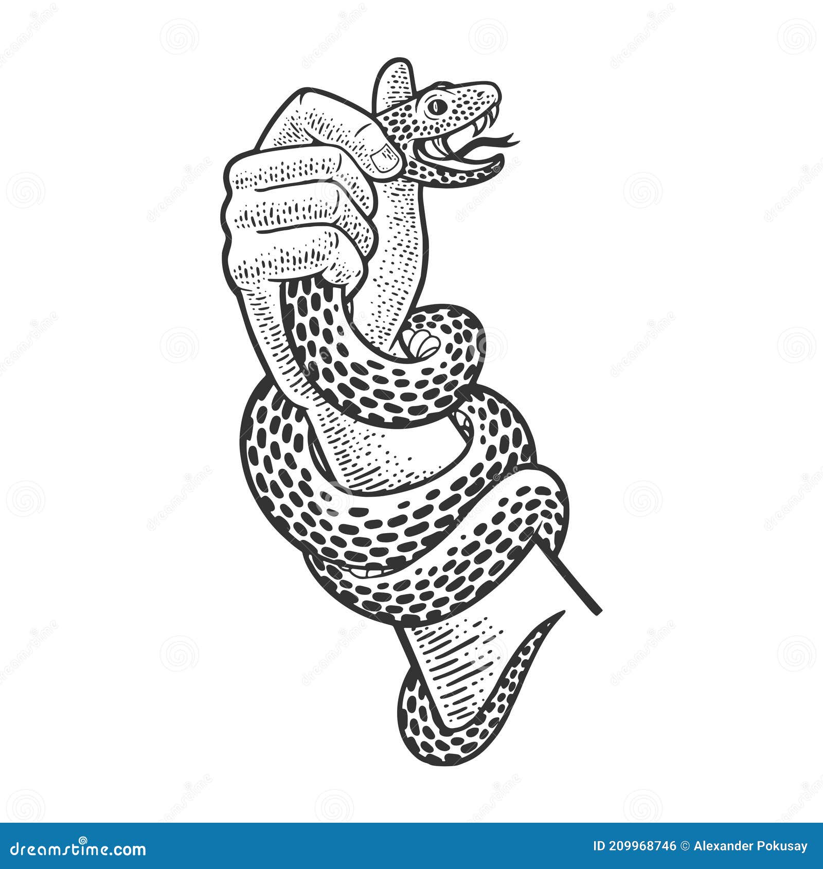 Hand with Snake Sketch Vector Illustration Stock Vector Illustration