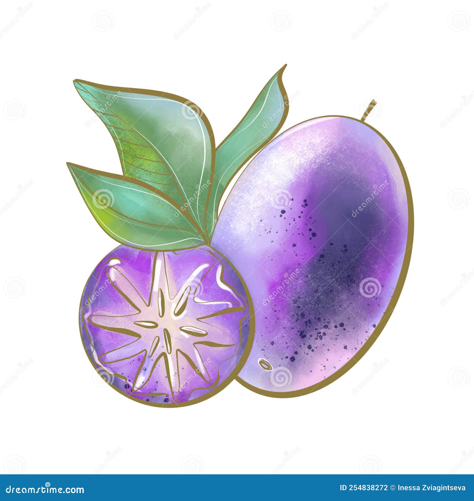 color  plant tree satin fruit close up and sectional view packaging   natural wholesome food purple