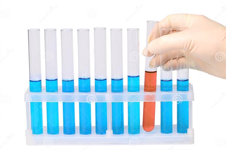 Hand Takes Test Tube from Support Stock Photo Image of examine, research 19943086
