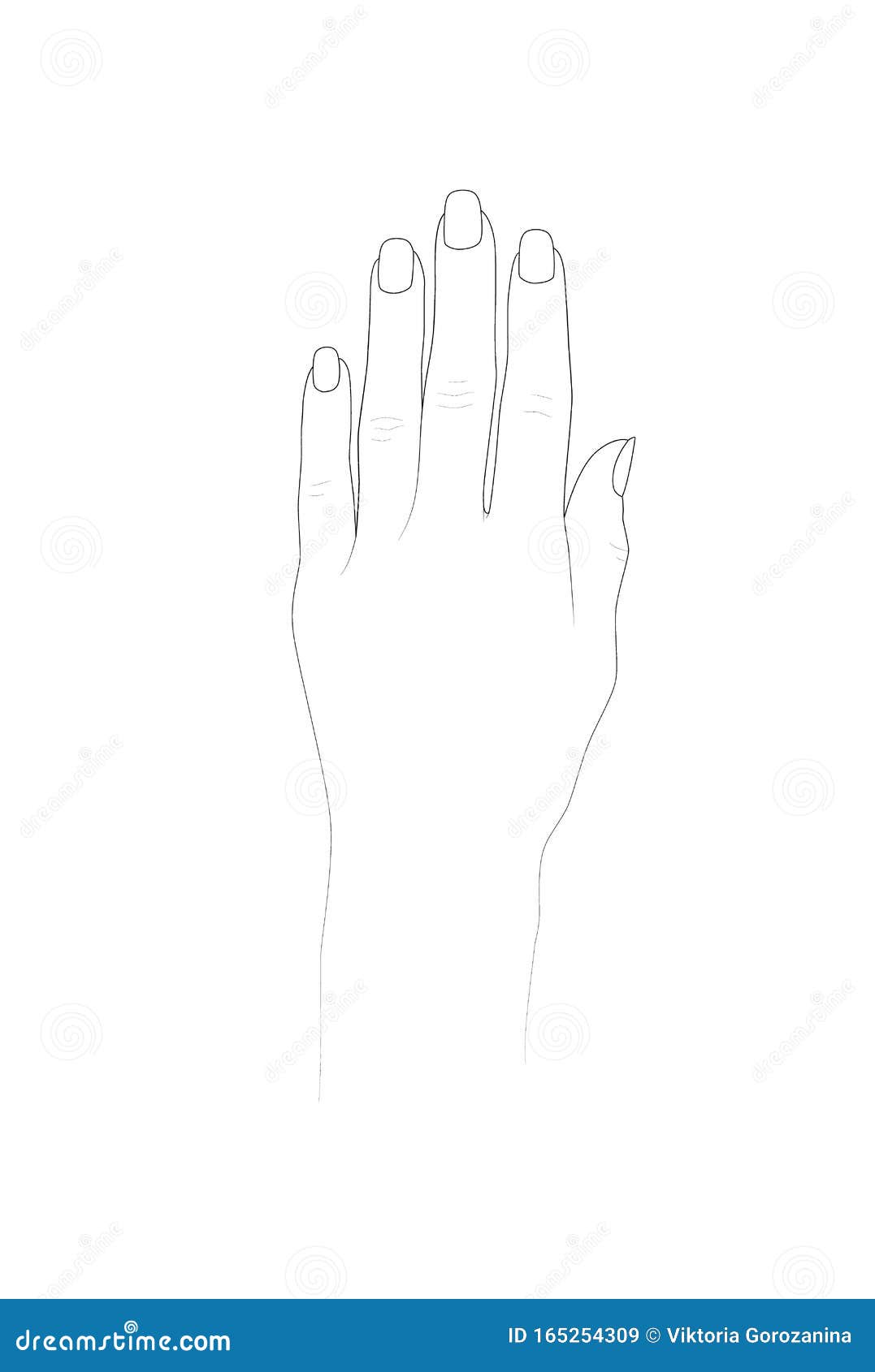 Top view of two beautiful female hands with long nails. black • wall  stickers image, body, outline | myloview.com