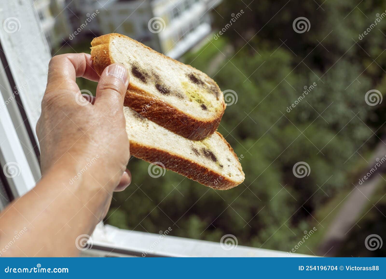 Throwing spoiled bread stock photo. Image of covered 254196704