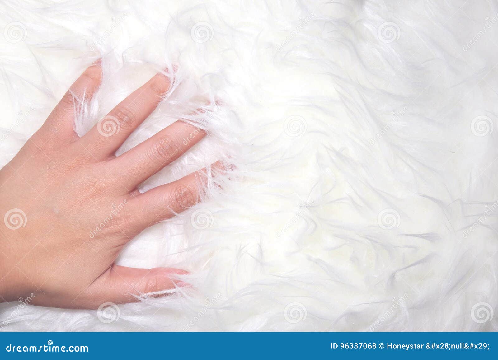 a hand touch white fur
