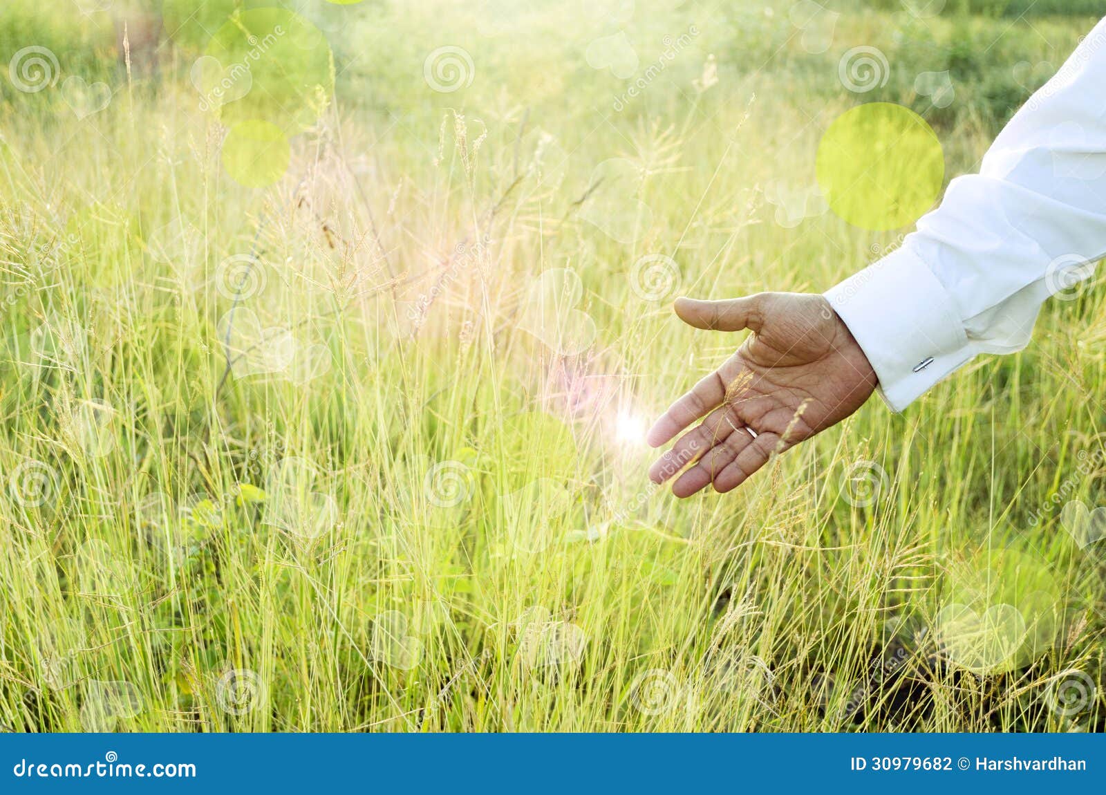 Person touching grass - Stock Image - F012/0423 - Science Photo Library