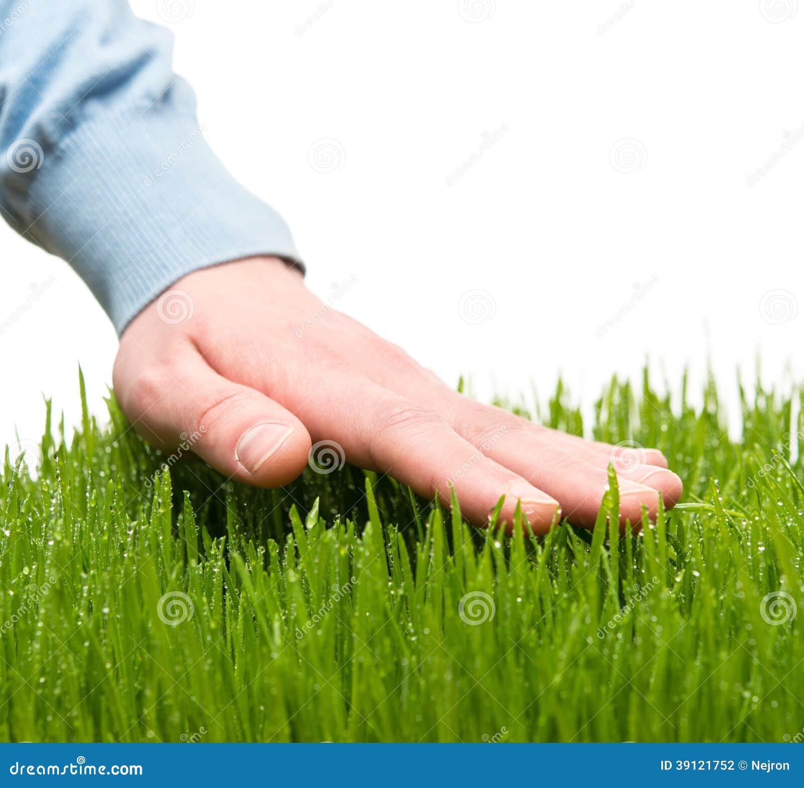 Grass touch What's the