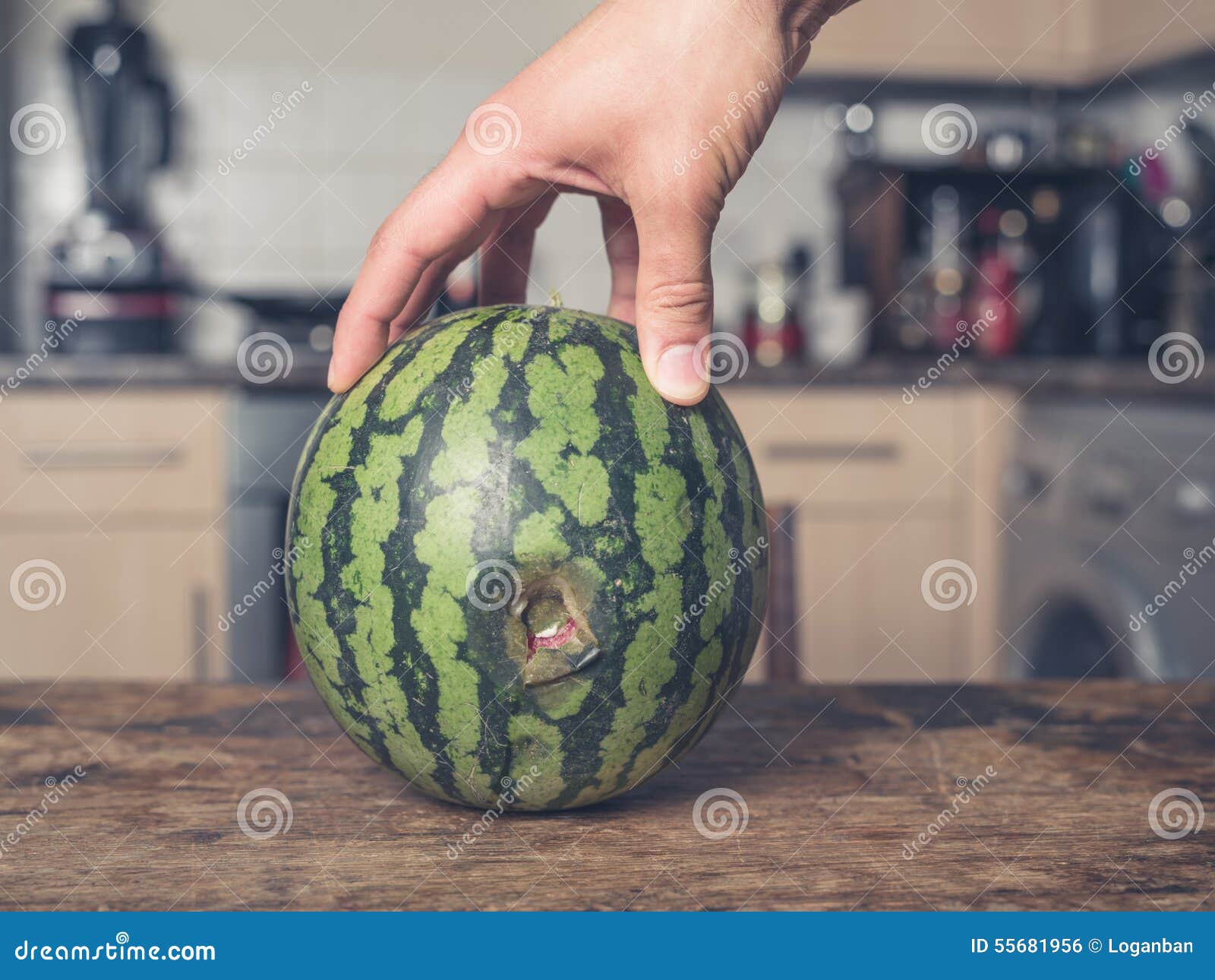 Hand Touching Rotten Melon in Kitchen Stock Photo Image of rotten