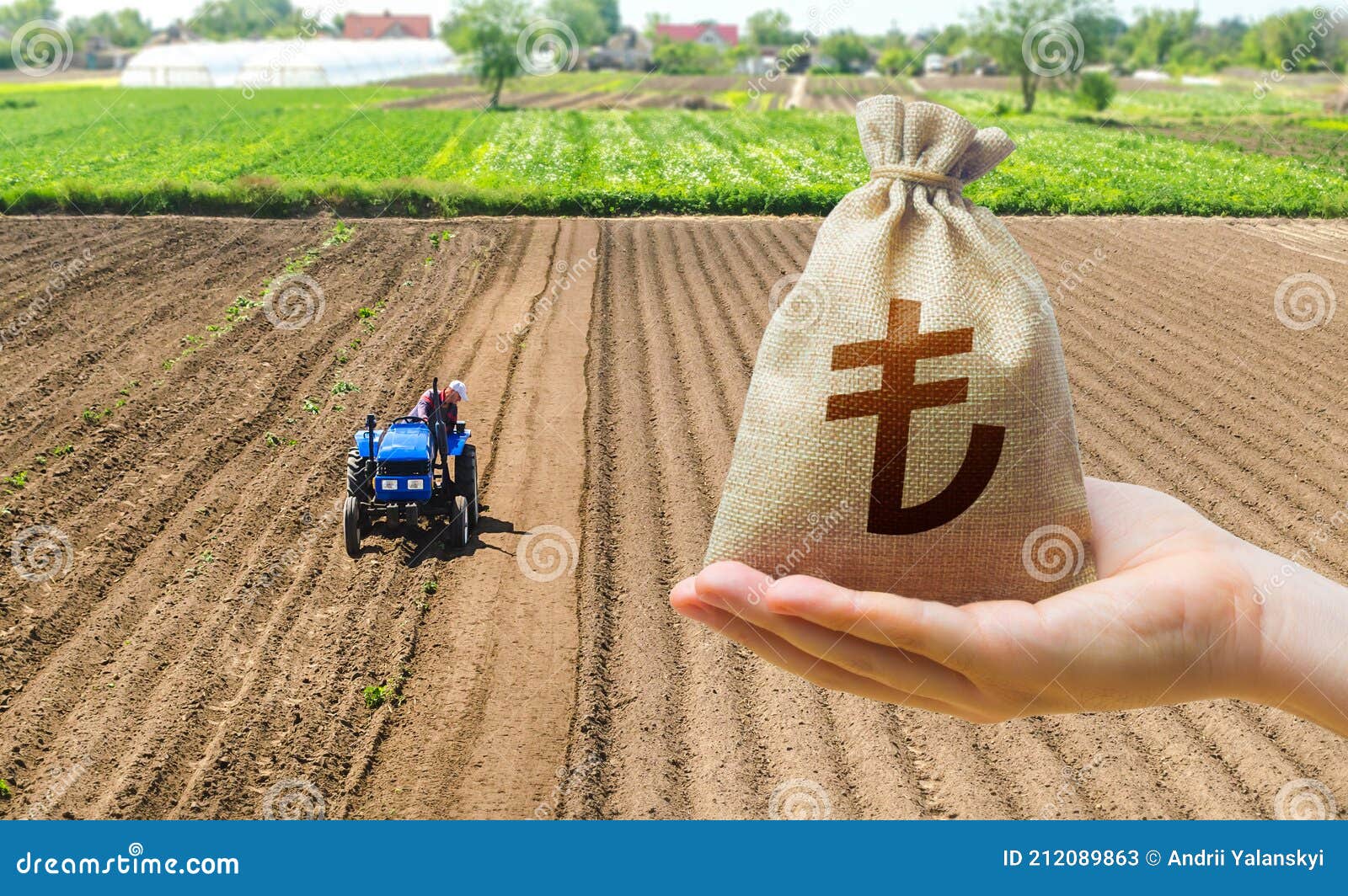 hand with a turkish lira money bag on the background of a farm field with a tractor. subsidies support for agricultural producers