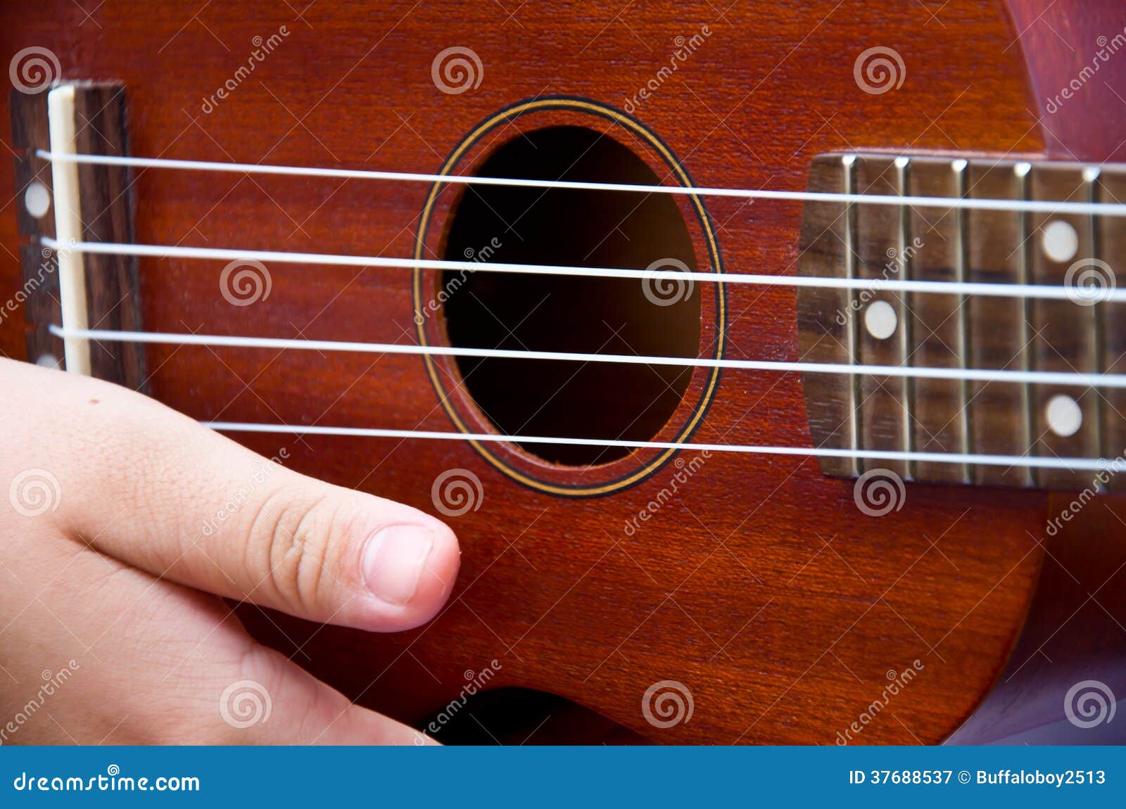 Hand for Ukulele stock image. Image of hawaii, folk, musical 37688537