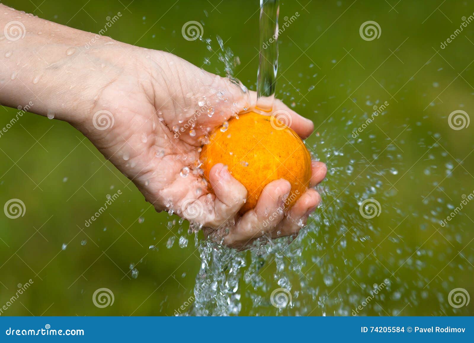 blue tangerine hand wash blue tangerine hand wash
