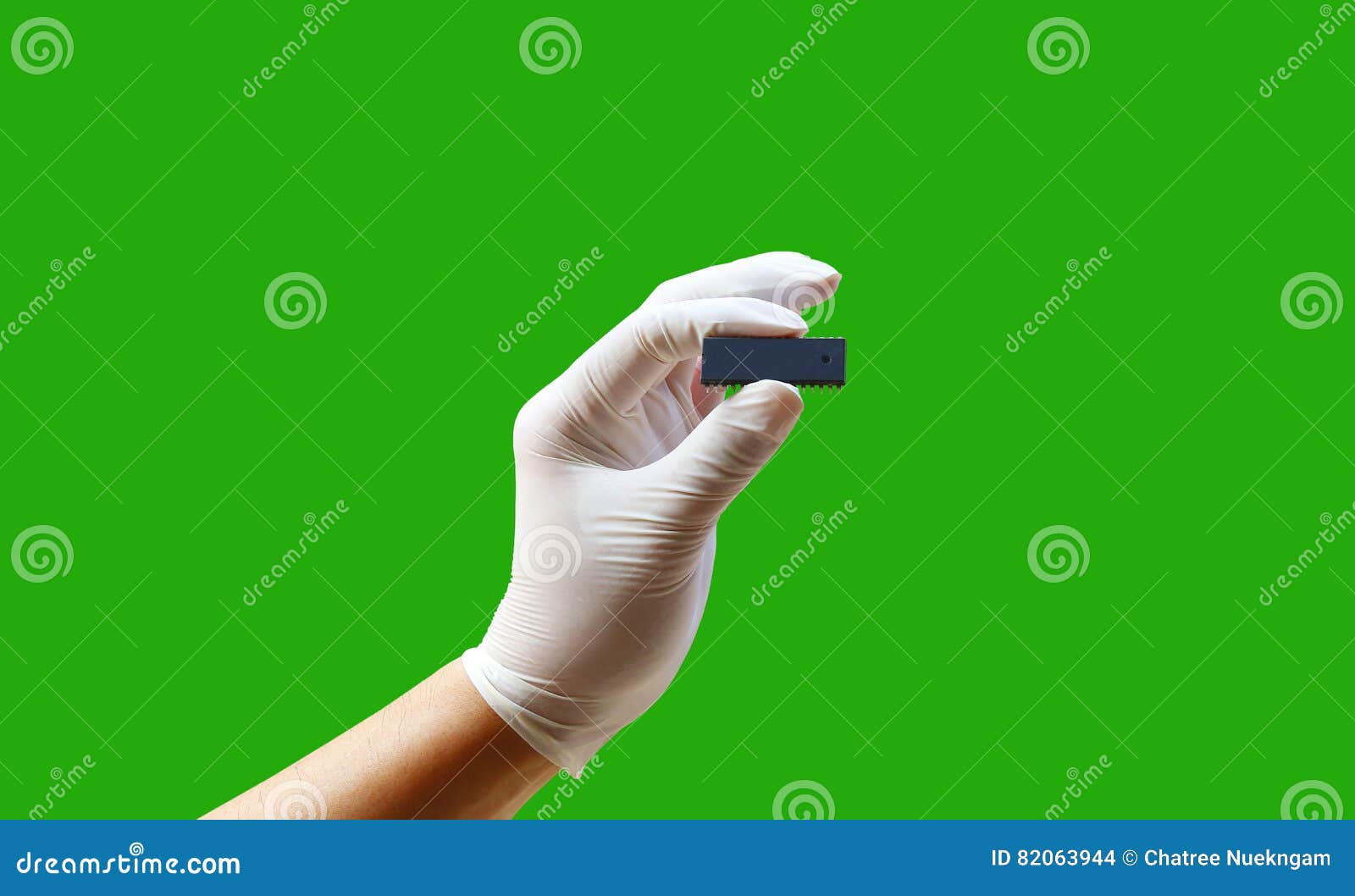 Hand of Wearing Rubber Gloves Isolate Stock Photo Image of hold
