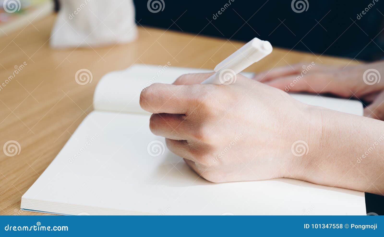 Hand of Woman Holding a Pen for Write To a Book Stock Photo - Image of ...