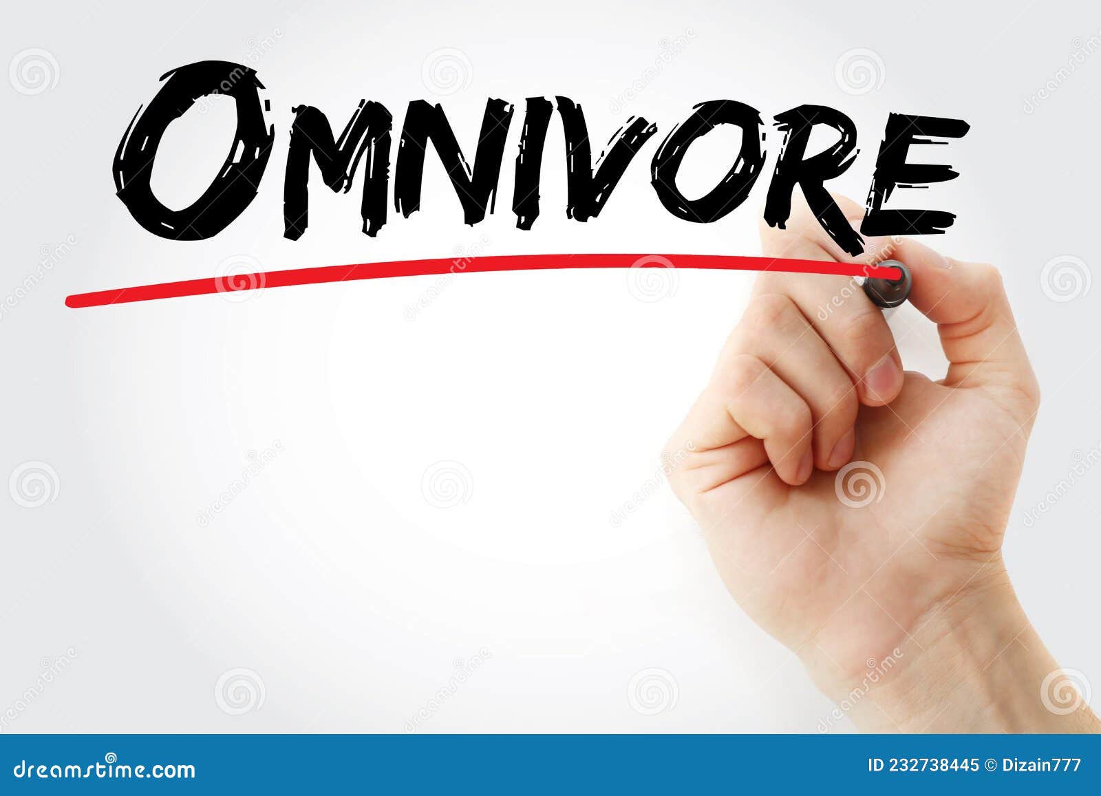 hand writing omnivore with marker