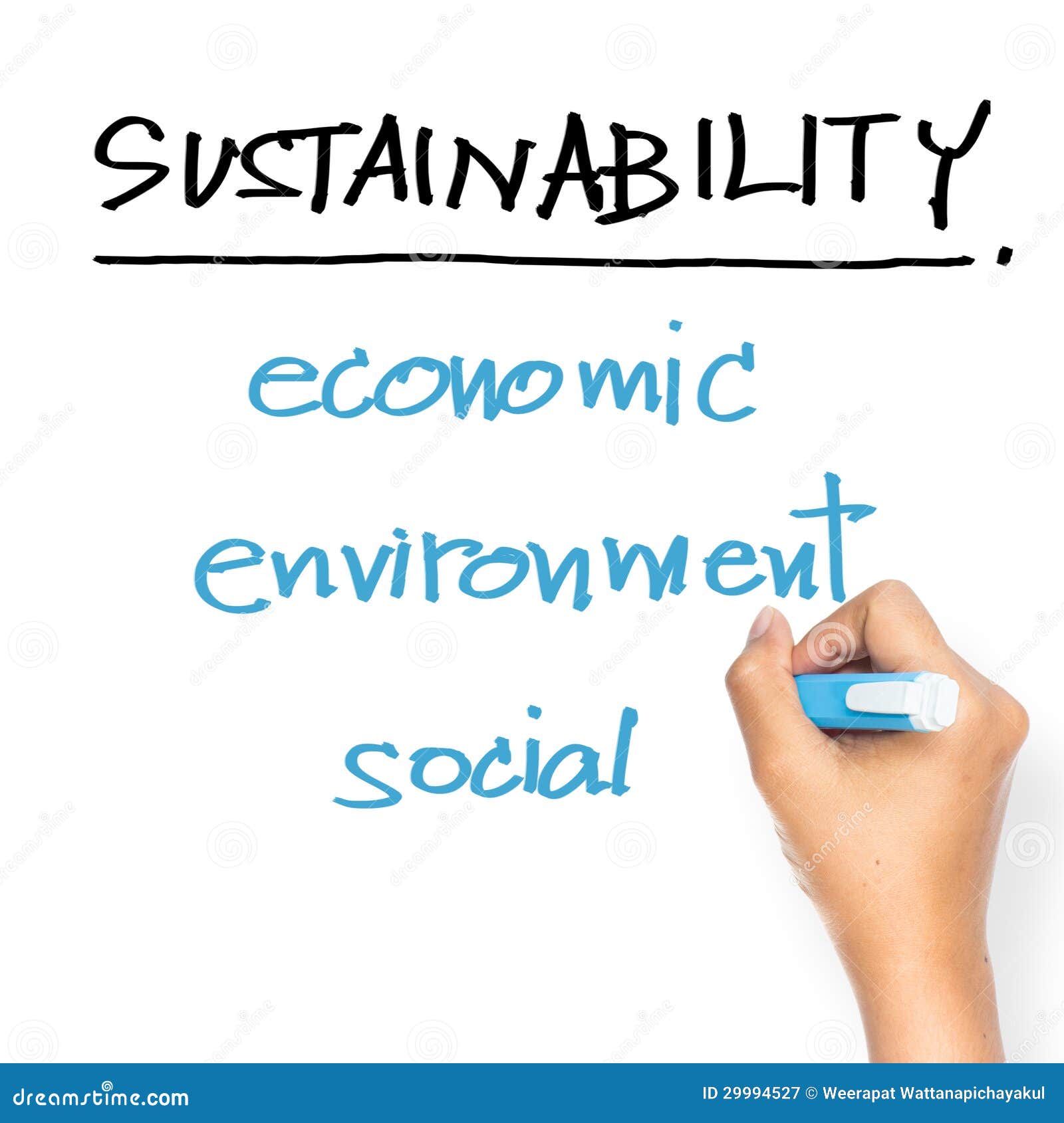 sustainability on whiteboard