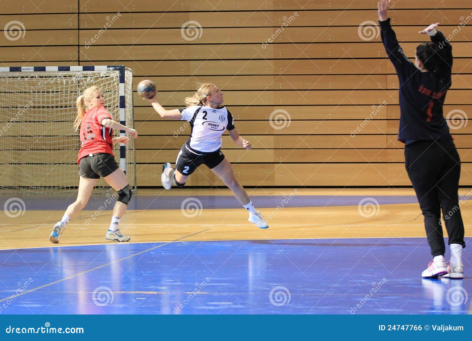 Handball goal editorial photo. Image of attac, speed 24747766