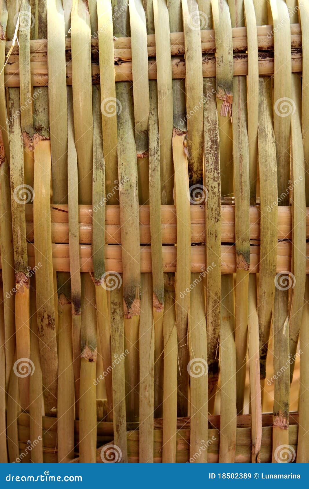 handcraft mexican cane basketry vegetal texture