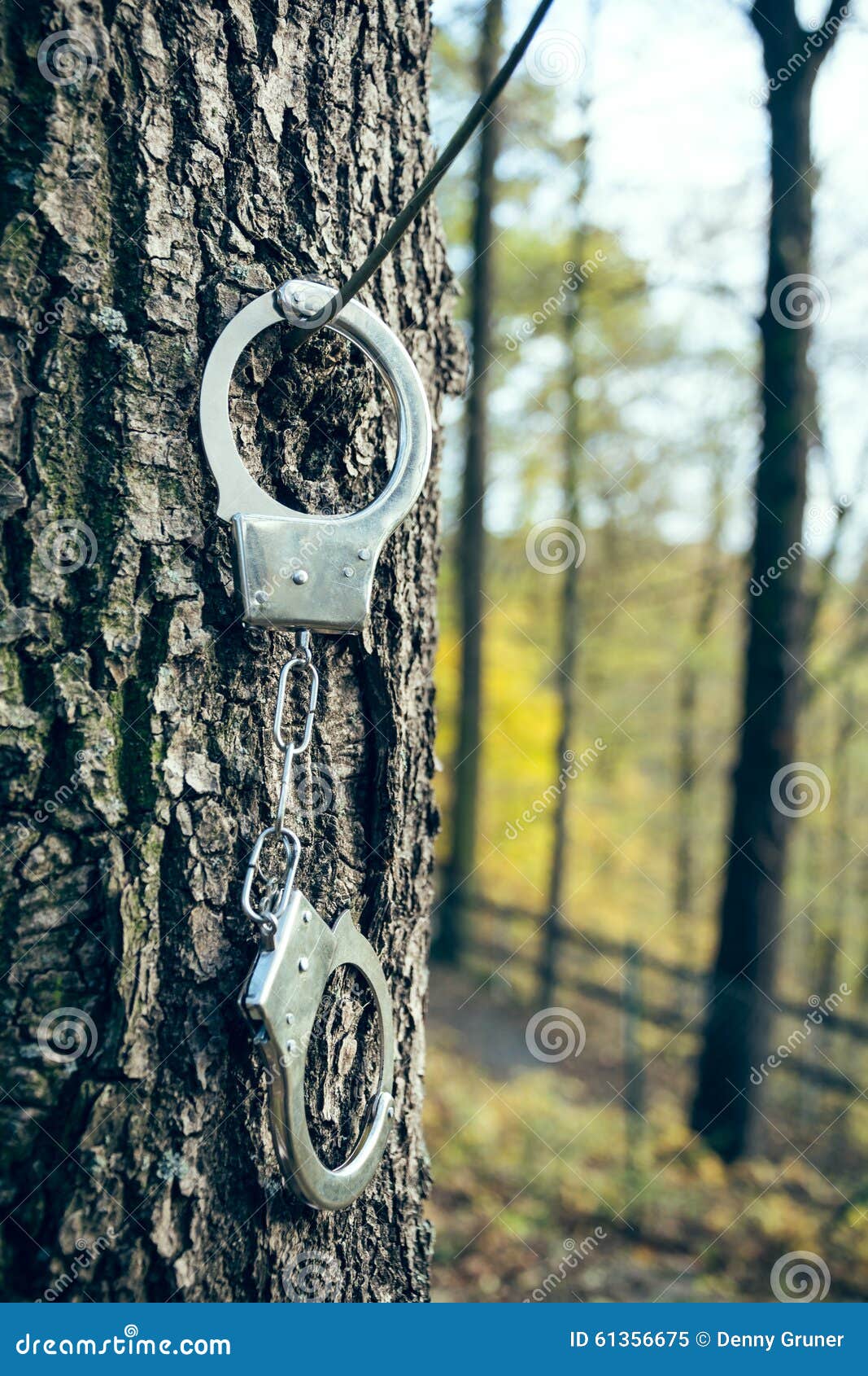 Handcuffs on tree trunk stock image. Image of fugitive 61356675
