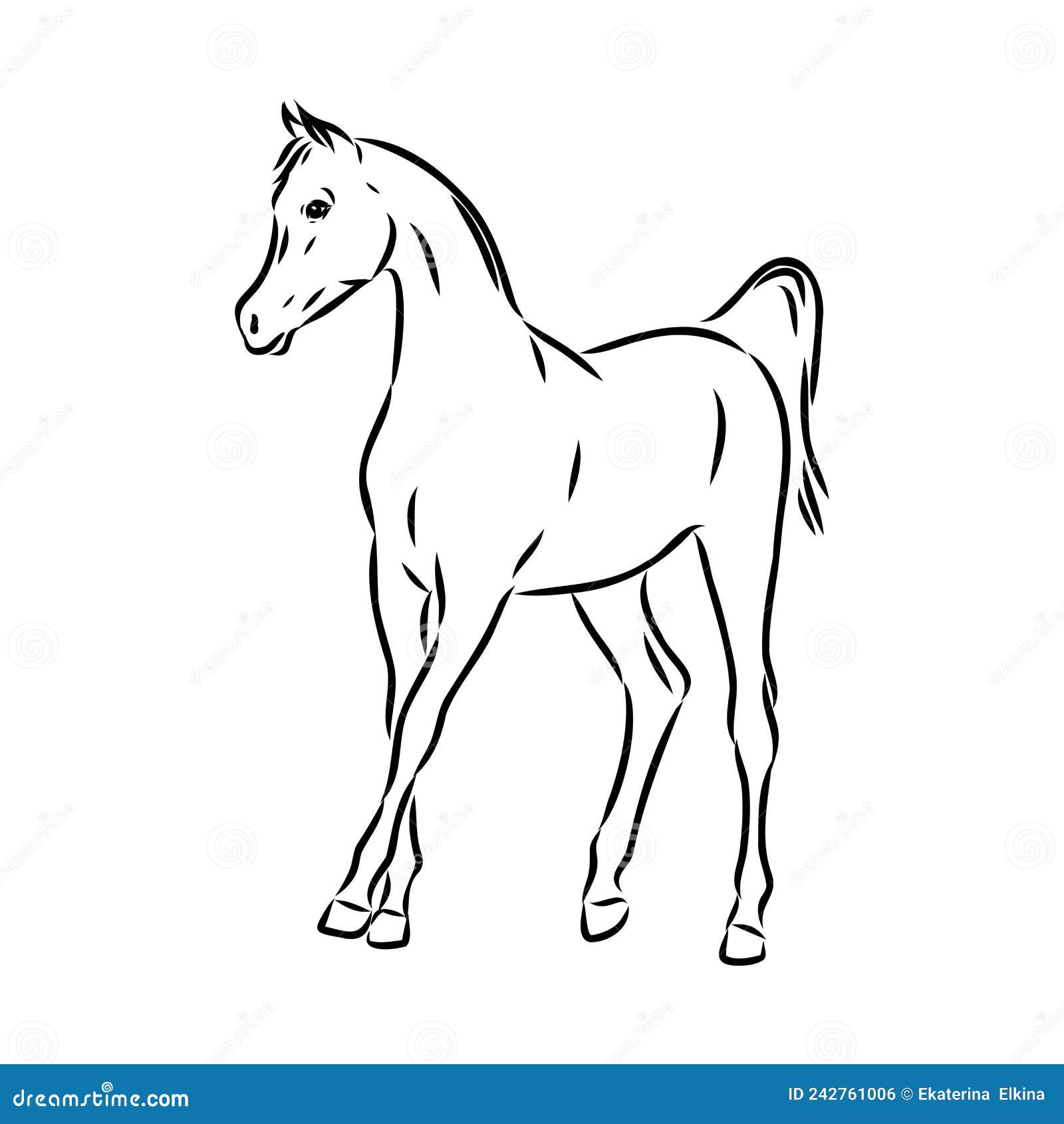 Handdrawn of Arabian Horse Sketch with Pen in Vector Format. EPS 10 Stock  Vector - Illustration of silhouette, fast: 242761528