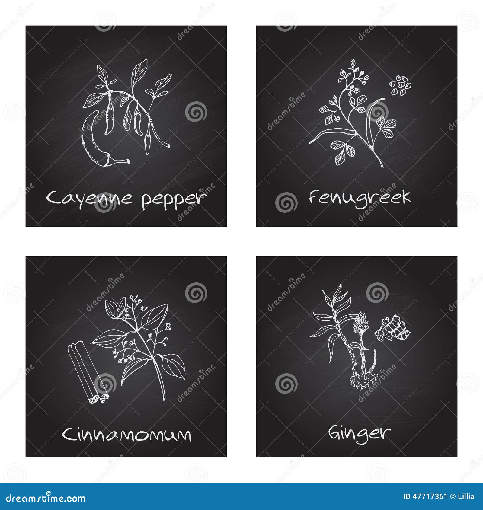 handdrawn  - health and nature set