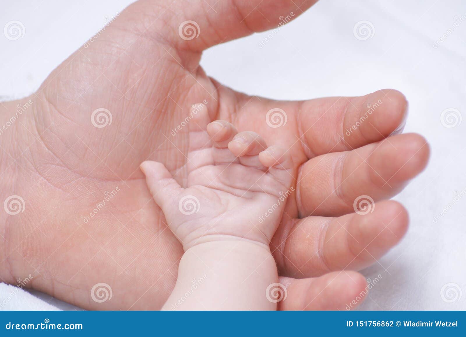 tiny baby tiny hand