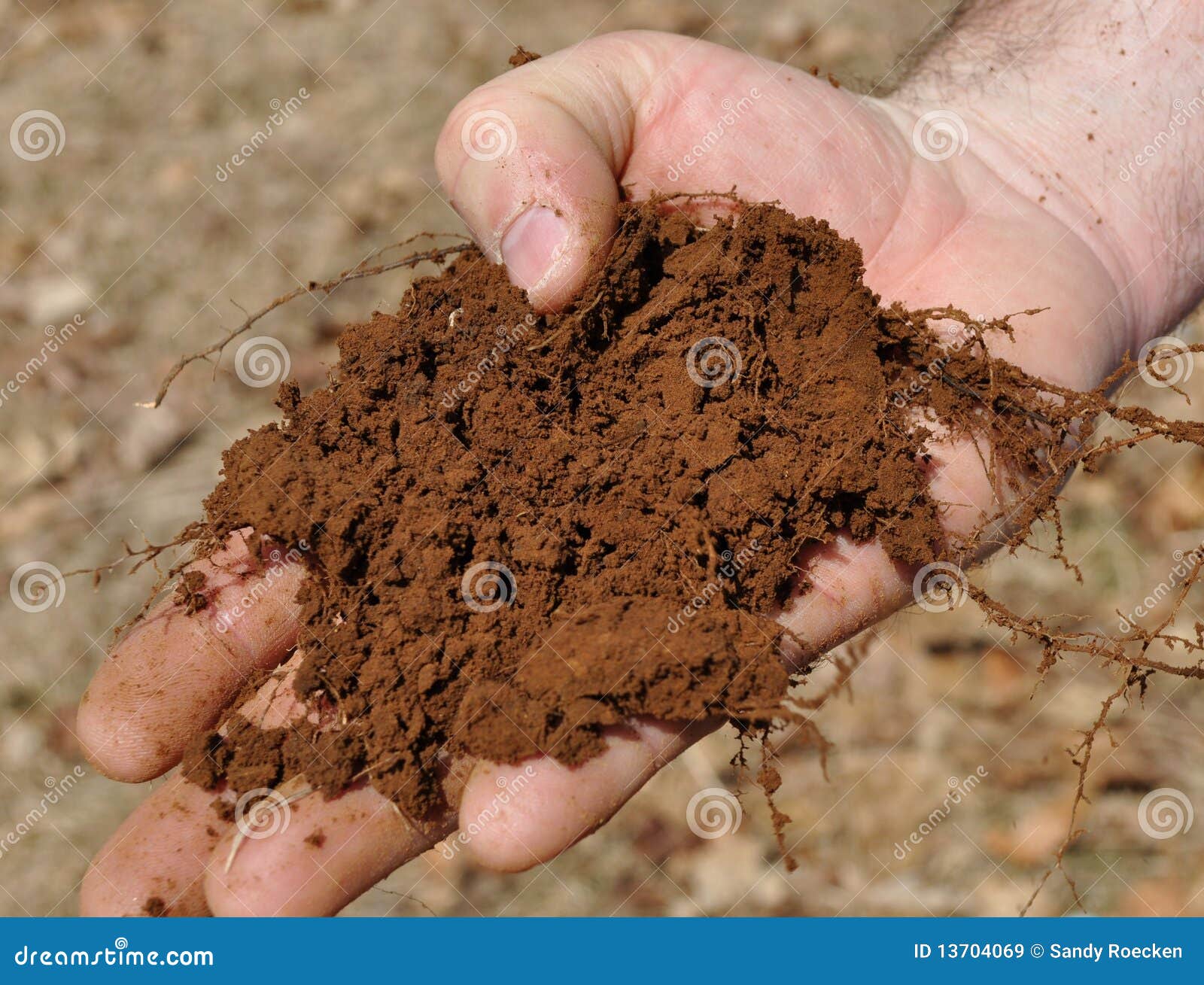 Handful of Dirt in Man S Hand Stock Image Image of earth, compost