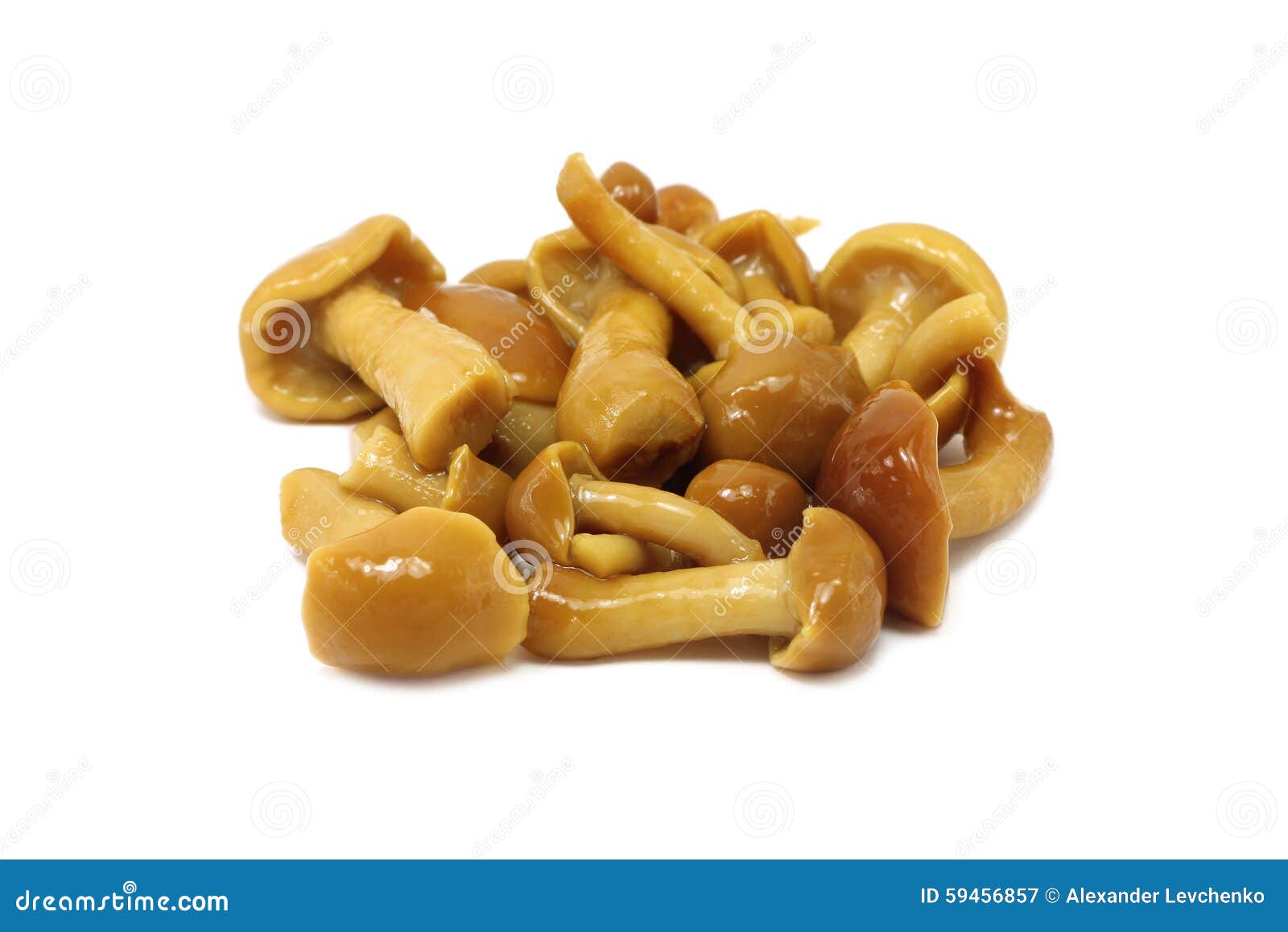 Handful Marinated Mushrooms Stock Photos Free & RoyaltyFree Stock