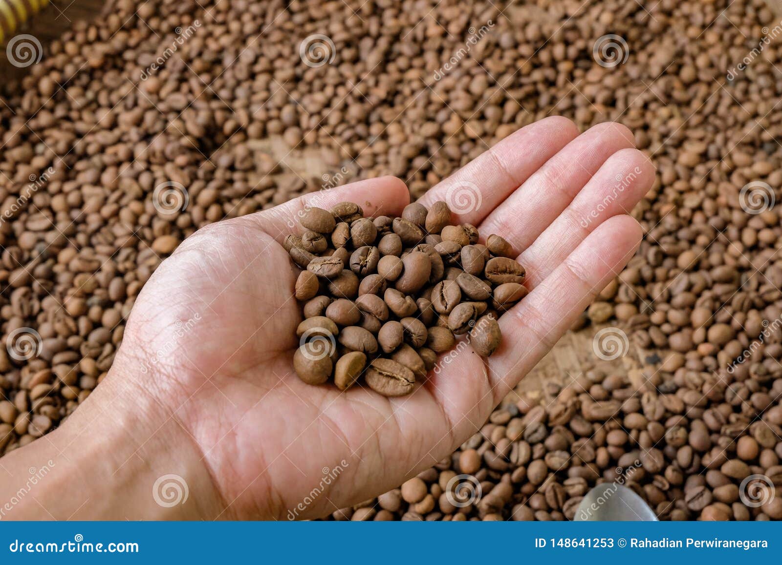Roasted green bean coffee stock image. Image of handful 148641253
