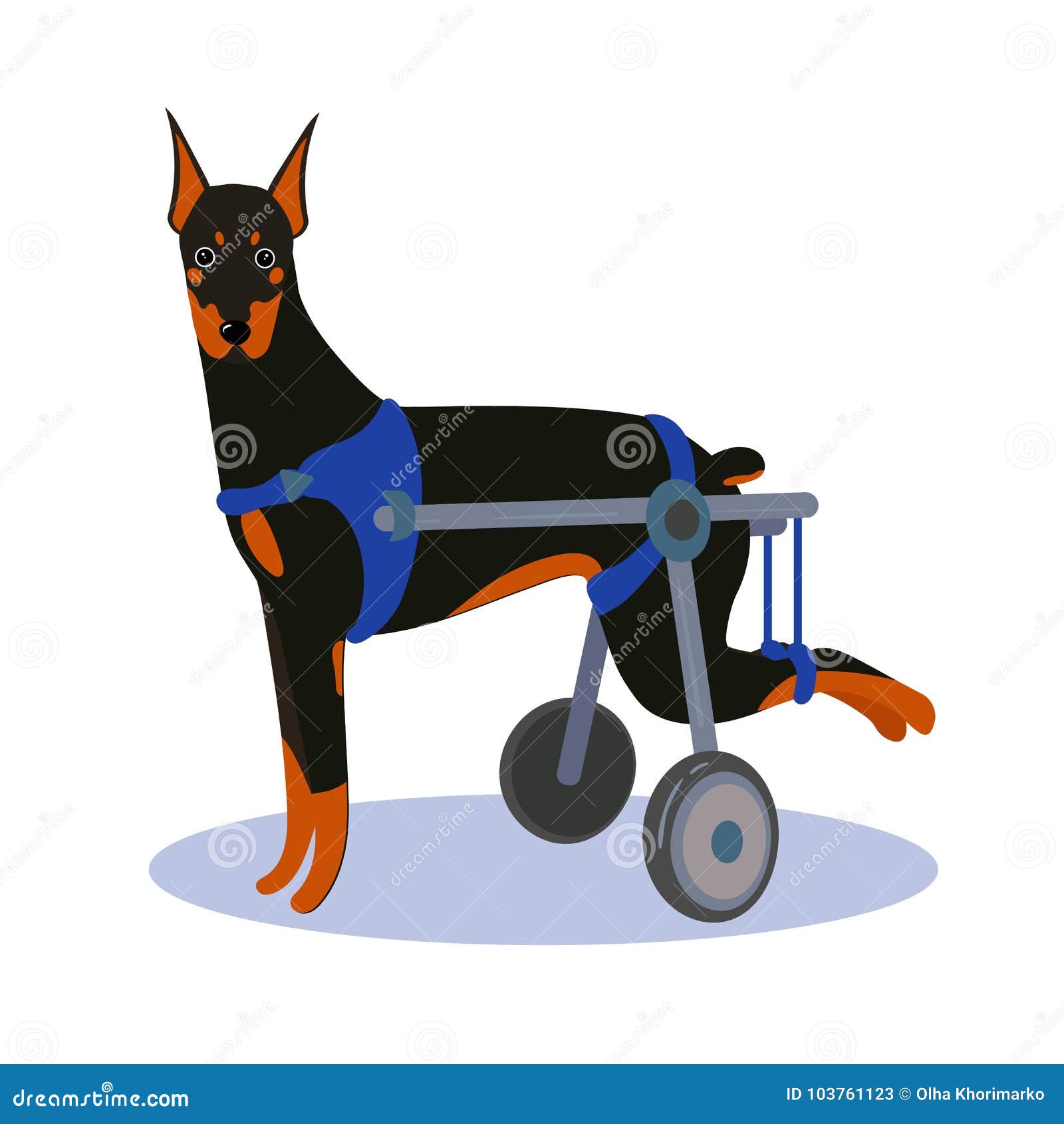 handicapped dog accessories