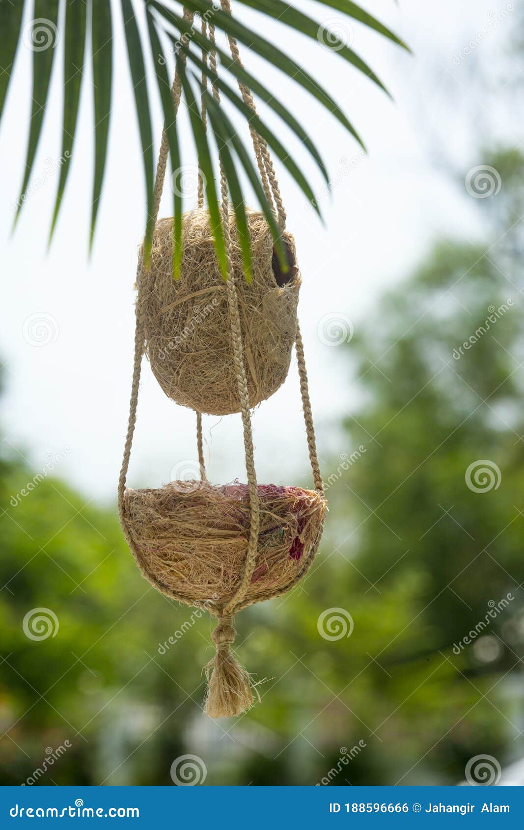 Handmade Birds Nest are Hanging on the Branches of Green Trees. Stock