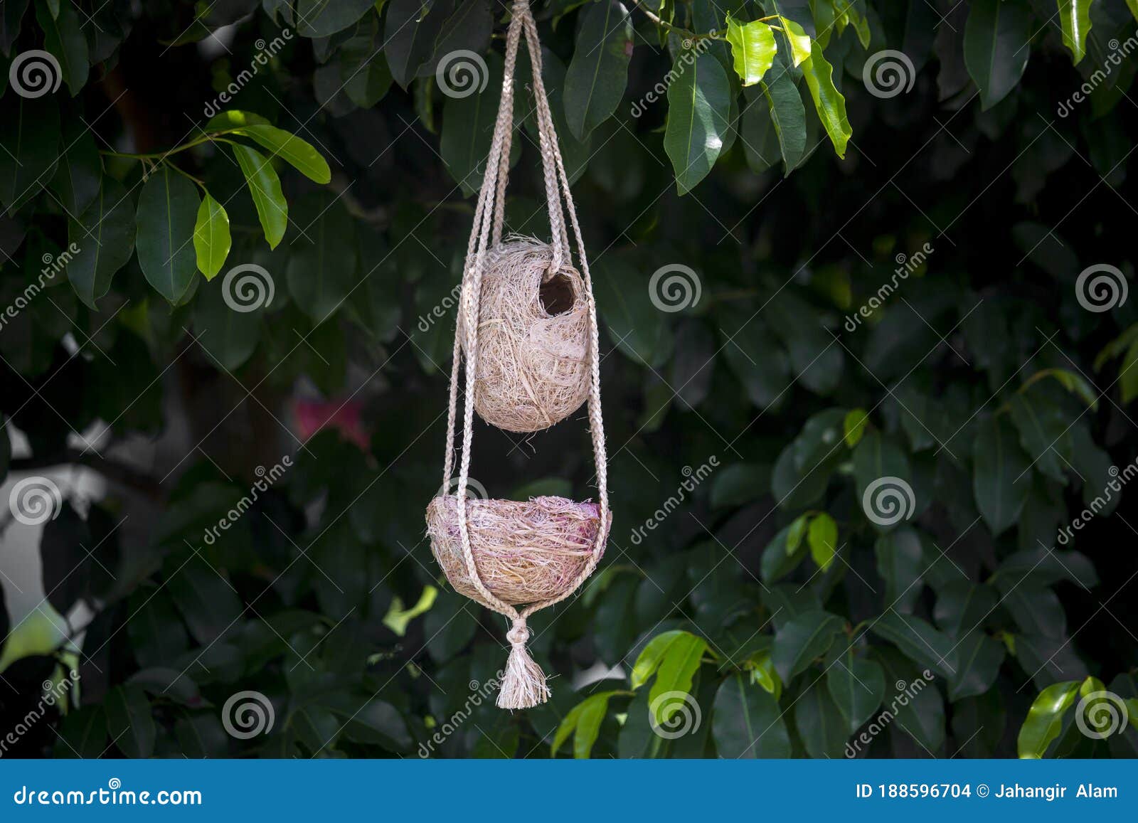 Handmade Birds Nest are Hanging on the Branches of Green Trees. Stock